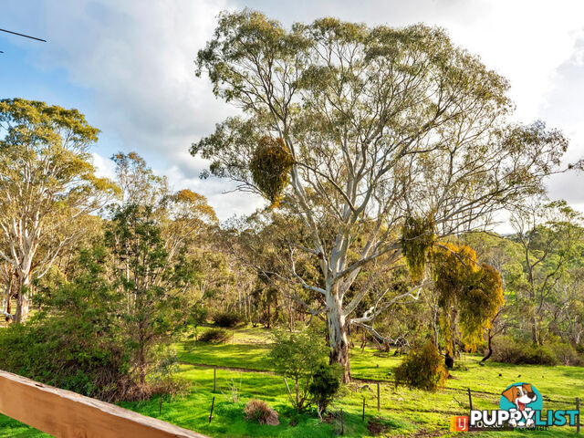 131 Kelly Hill Road (Humbug Scrub) ONE TREE HILL SA 5114