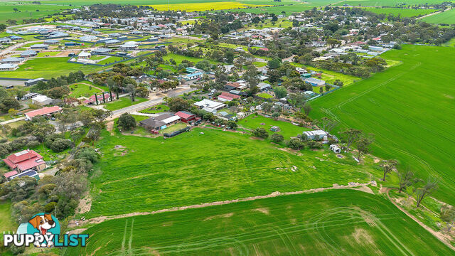 Lot 742/ Pratt Road WASLEYS SA 5400