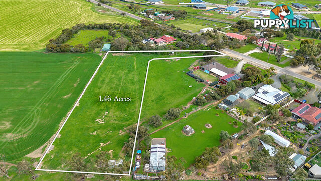 Lot 742/ Pratt Road WASLEYS SA 5400