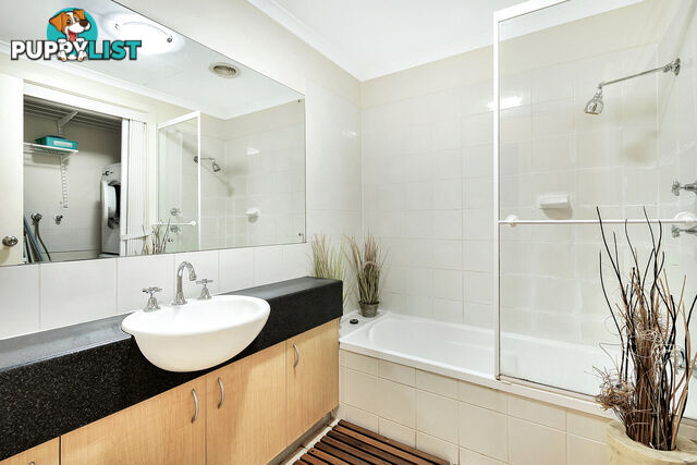 20B/188 Carrington Street ADELAIDE SA 5000