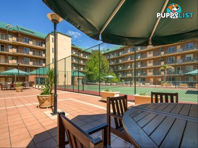 20B/188 Carrington Street ADELAIDE SA 5000
