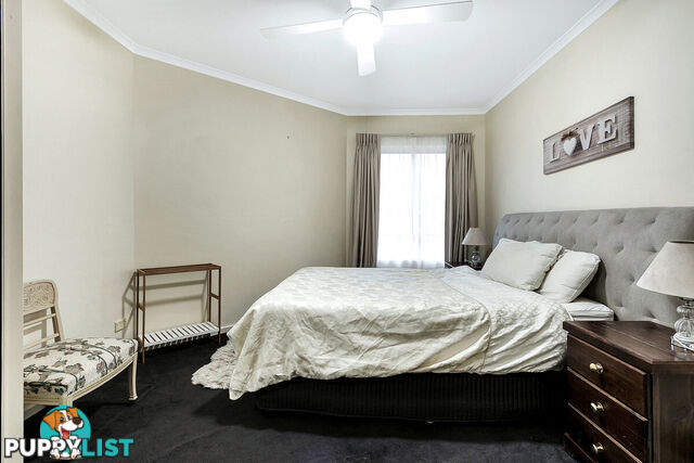 20B/188 Carrington Street ADELAIDE SA 5000