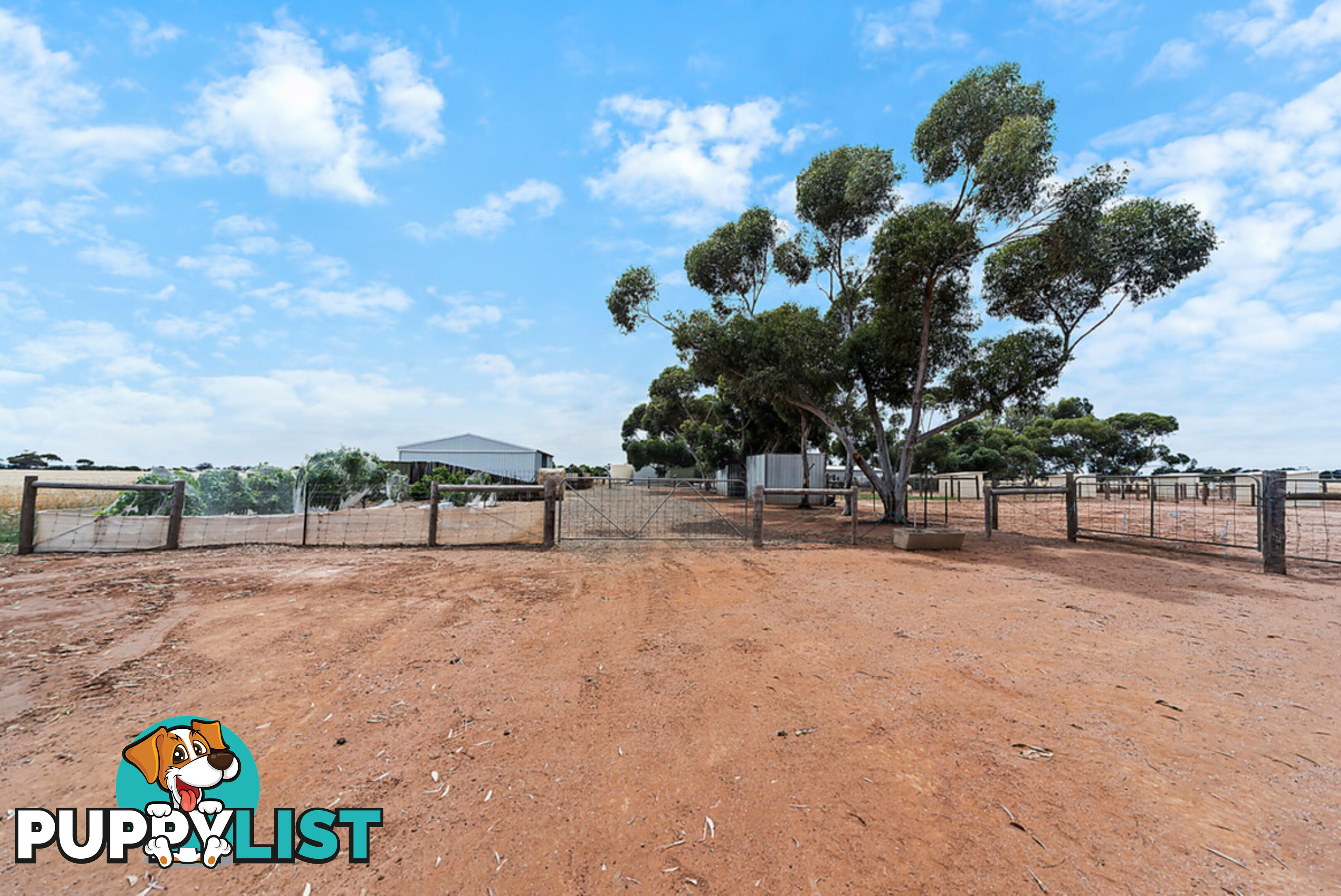 427 Stott Road (Magdala) ROSEWORTHY SA 5371