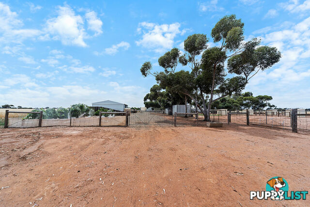 427 Stott Road (Magdala) ROSEWORTHY SA 5371