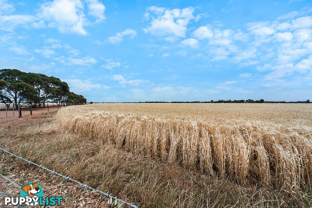 427 Stott Road (Magdala) ROSEWORTHY SA 5371