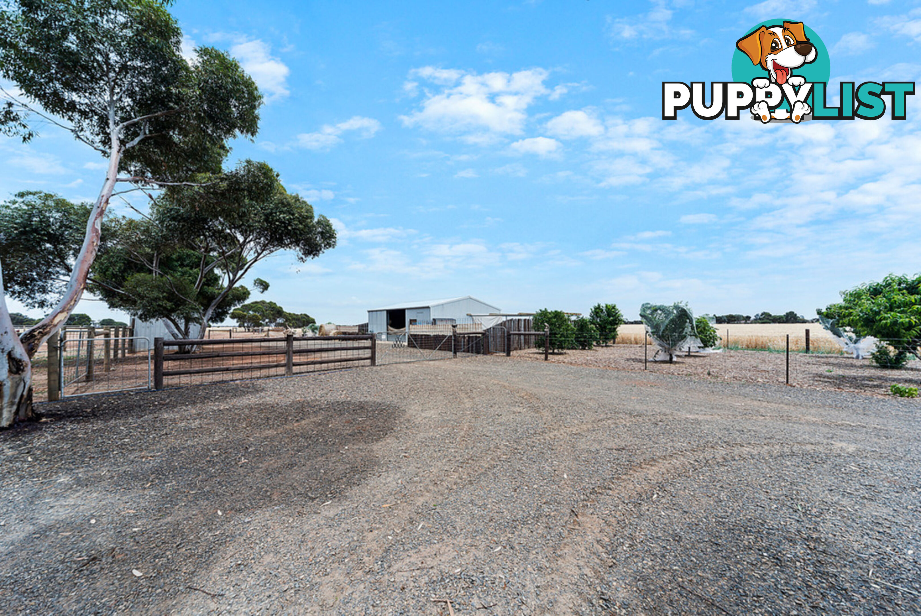 427 Stott Road (Magdala) ROSEWORTHY SA 5371