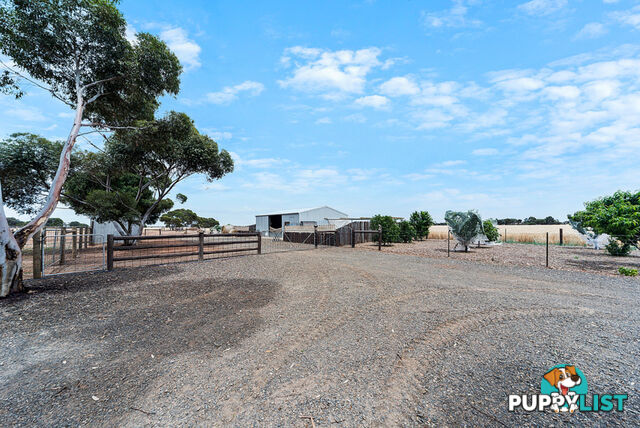 427 Stott Road (Magdala) ROSEWORTHY SA 5371