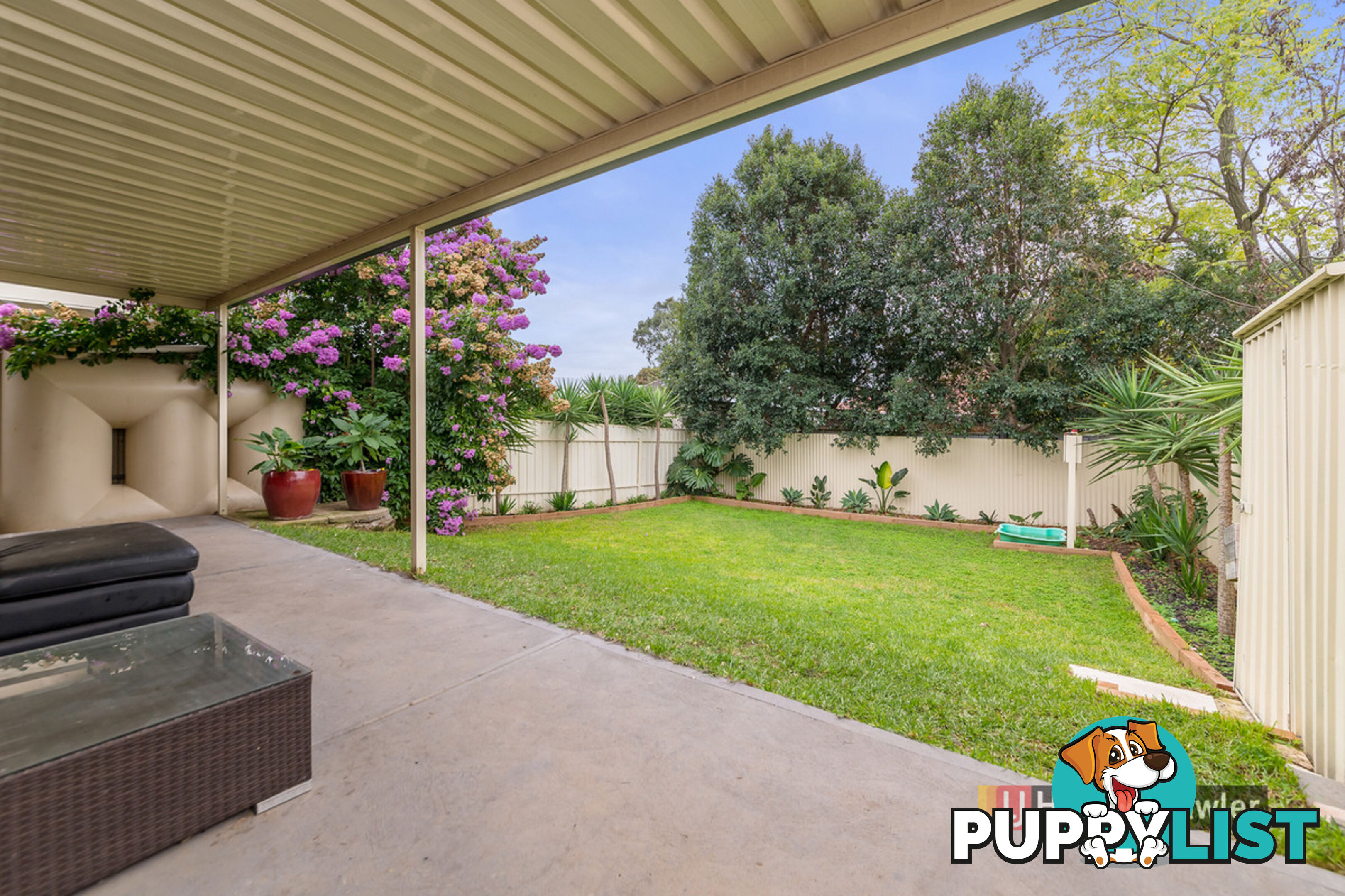 6 Gregory Street RIDGEHAVEN SA 5097