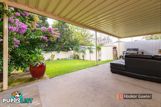 6 Gregory Street RIDGEHAVEN SA 5097