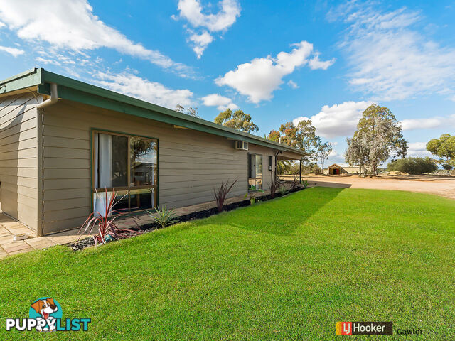 45 Fairlie Road (Ward Belt) GAWLER BELT SA 5118