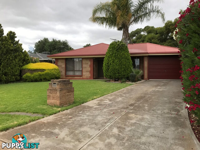 7 Glasgow Street CRAIGMORE SA 5114