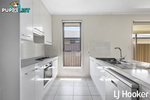 3 Cecil Robin Road NURIOOTPA SA 5355