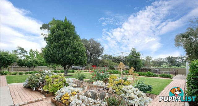 259 Bethany Road BETHANY SA 5352