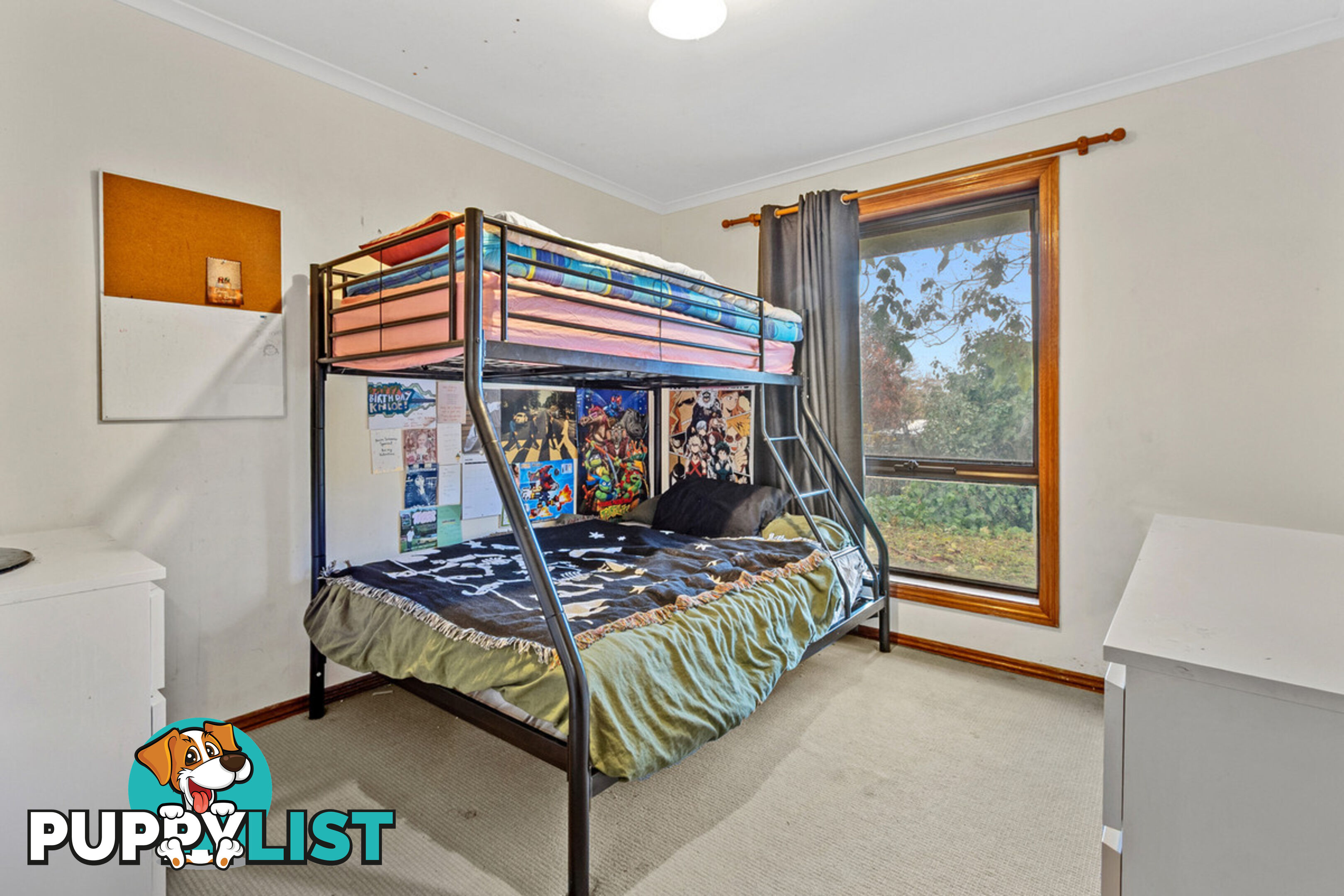 25 George Street WILLIAMSTOWN SA 5351
