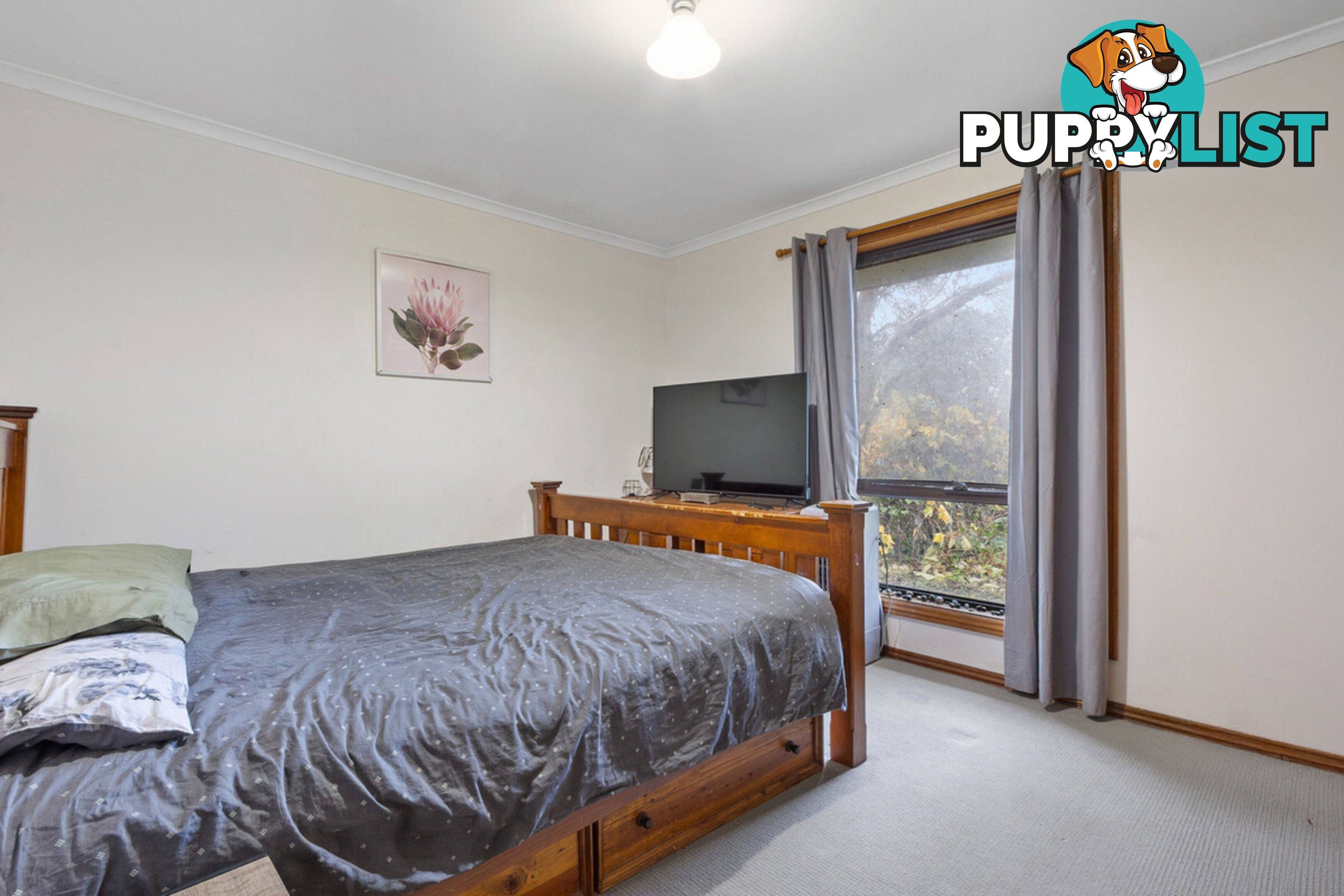 25 George Street WILLIAMSTOWN SA 5351