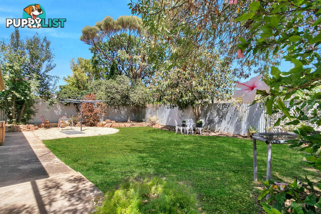 11 Holness Avenue GAWLER EAST SA 5118