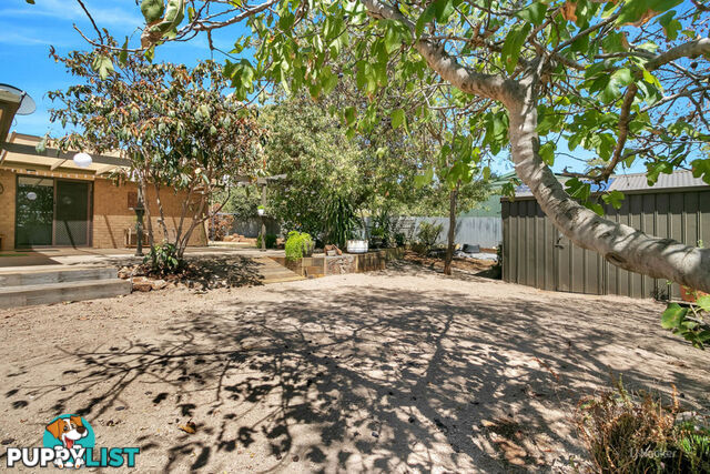 11 Holness Avenue GAWLER EAST SA 5118