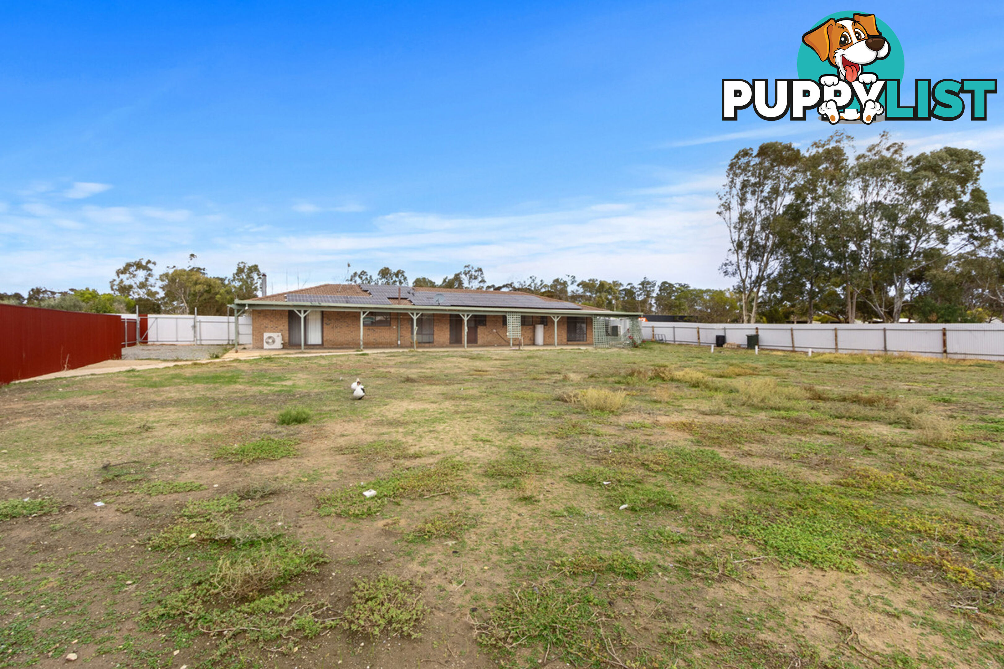 3 Coats Road TWO WELLS SA 5501