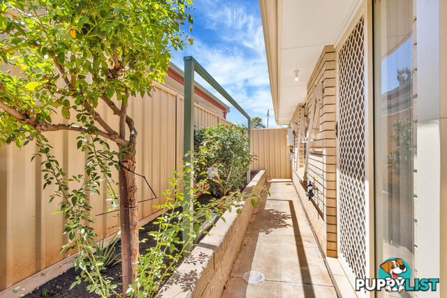 1 Eyre Street MUNNO PARA SA 5115