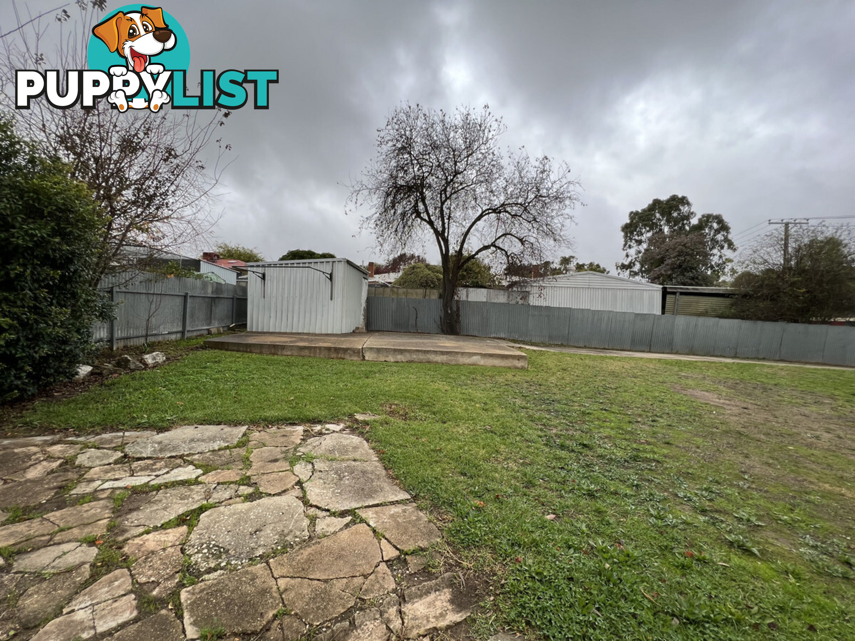 57 Gramp Avenue ANGASTON SA 5353