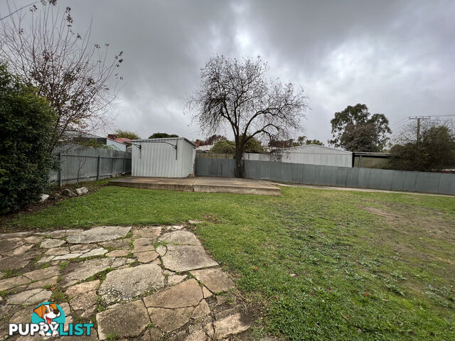 57 Gramp Avenue ANGASTON SA 5353