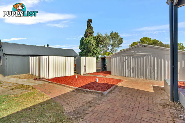 3 Rogers Street FREELING SA 5372