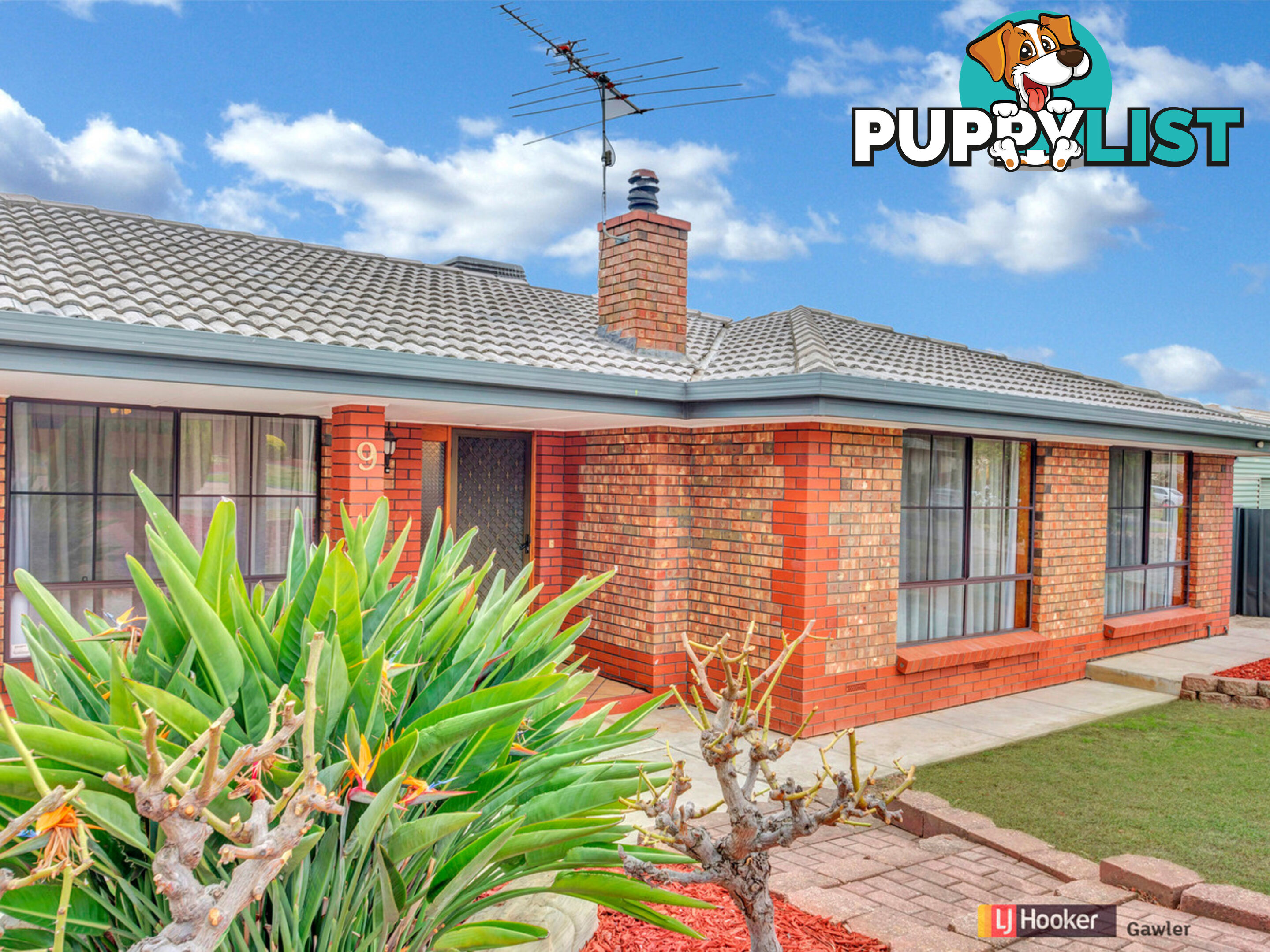 9 Pinda Court CRAIGMORE SA 5114