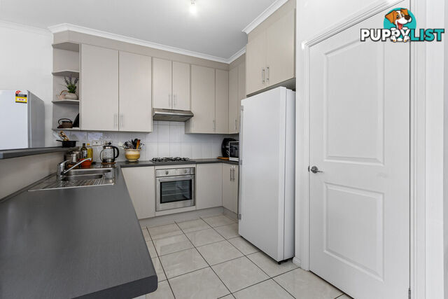 25 Jabez Way BLAKEVIEW SA 5114