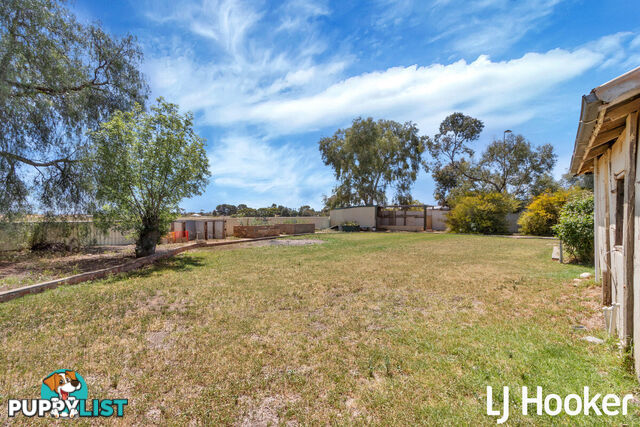 15 Annie Terrace WASLEYS SA 5400