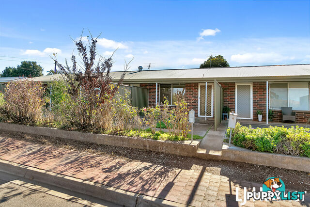 3/3 Young Street KAPUNDA SA 5373