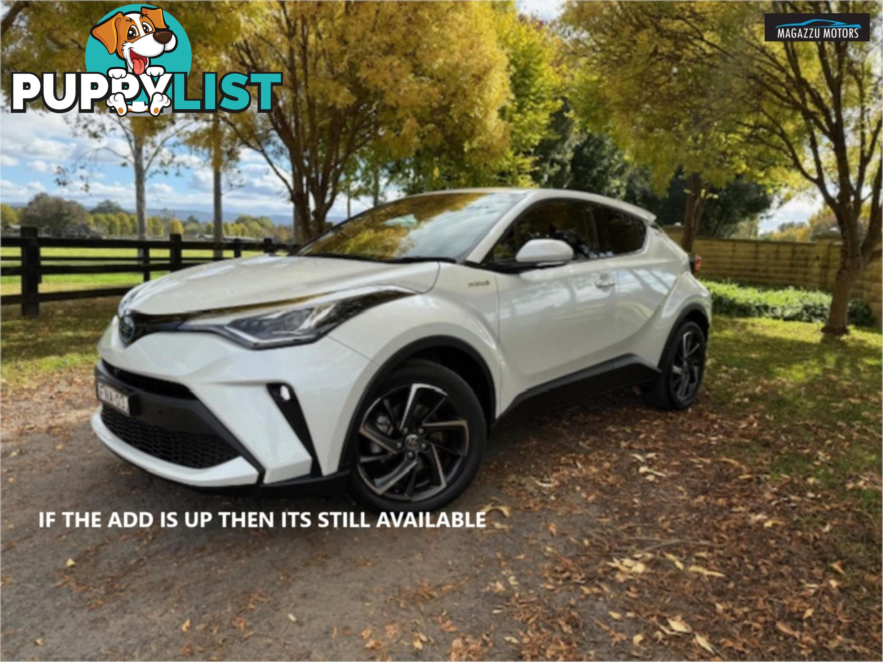 2022 TOYOTA C-HR KOBA ZYX10R 4D WAGON