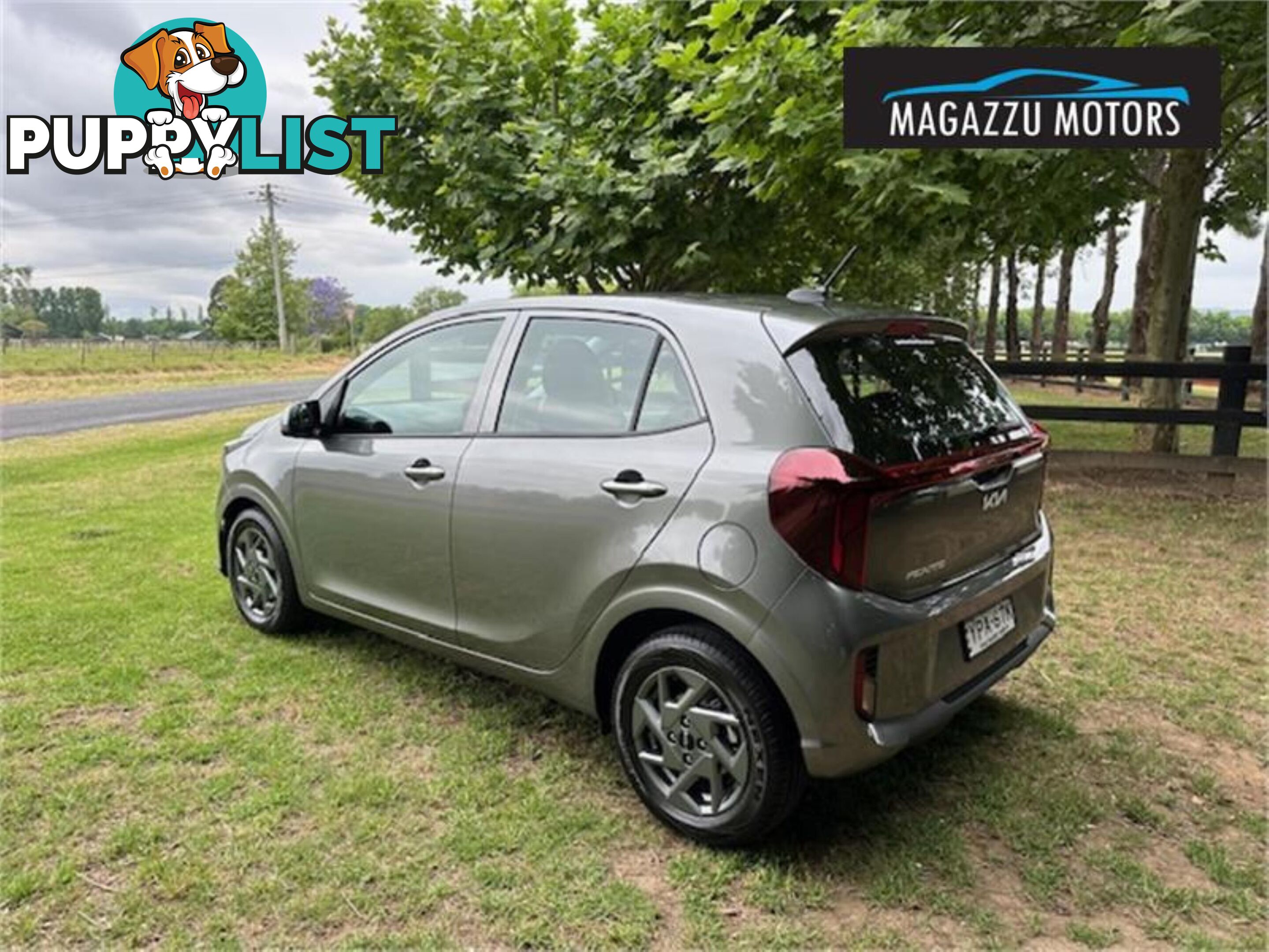 2024 KIA PICANTO SPORT JAMY24 5D HATCHBACK