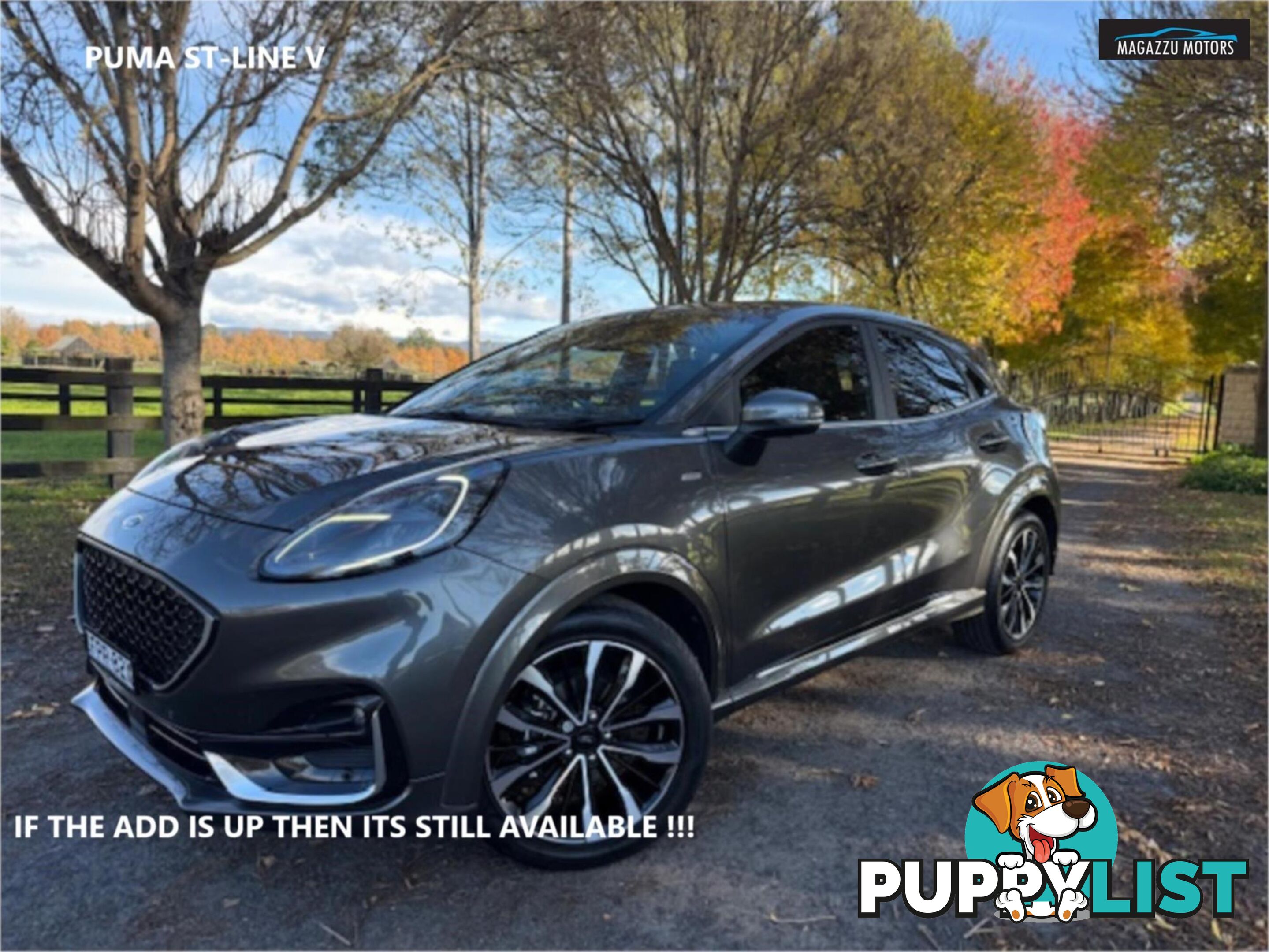 2022 FORD PUMA ST LINEV JKMY22 25 5D HATCHBACK