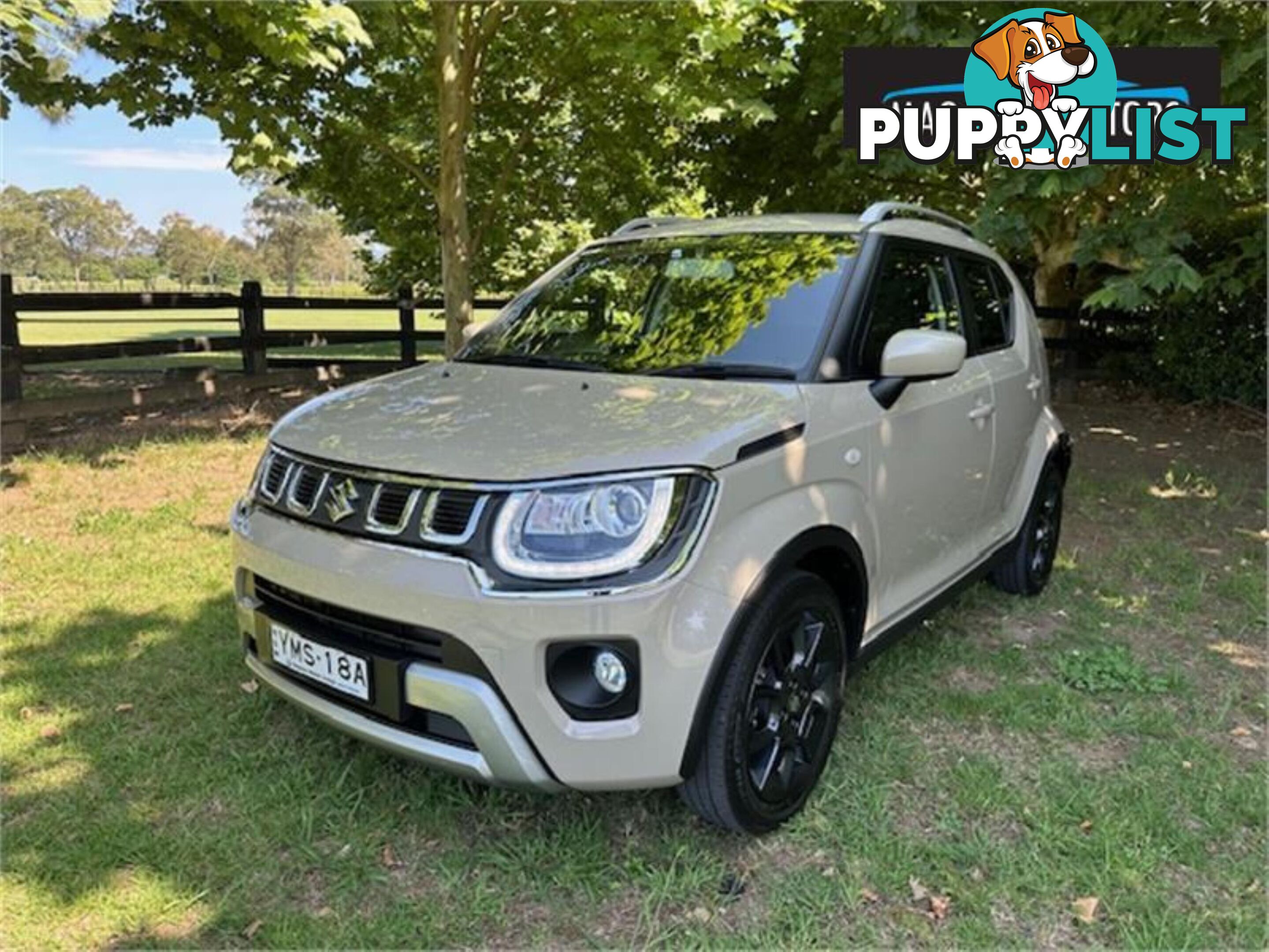 2023 SUZUKI IGNIS GLX MFSERIESIIMY22 4D WAGON