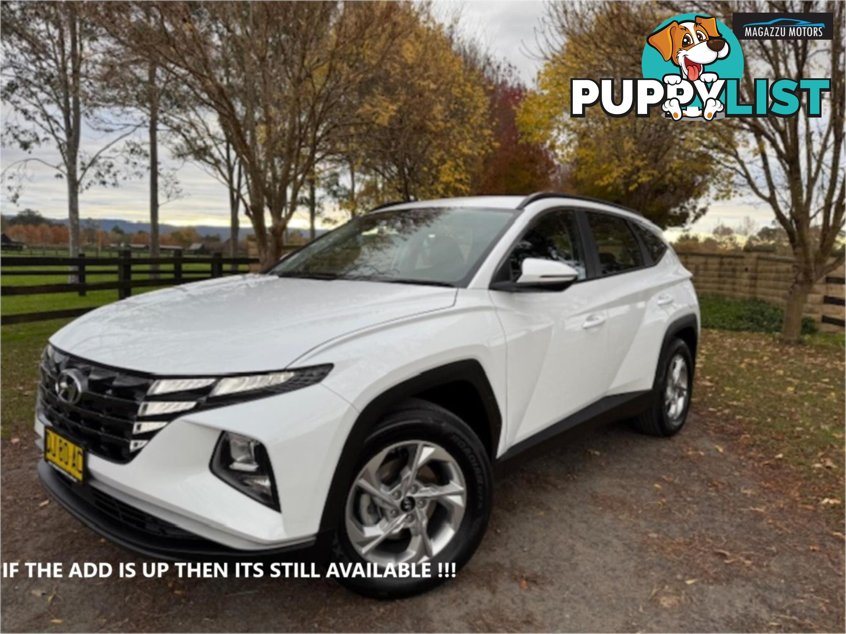 2023 HYUNDAI TUCSON  NX4 V2MY23 4D WAGON