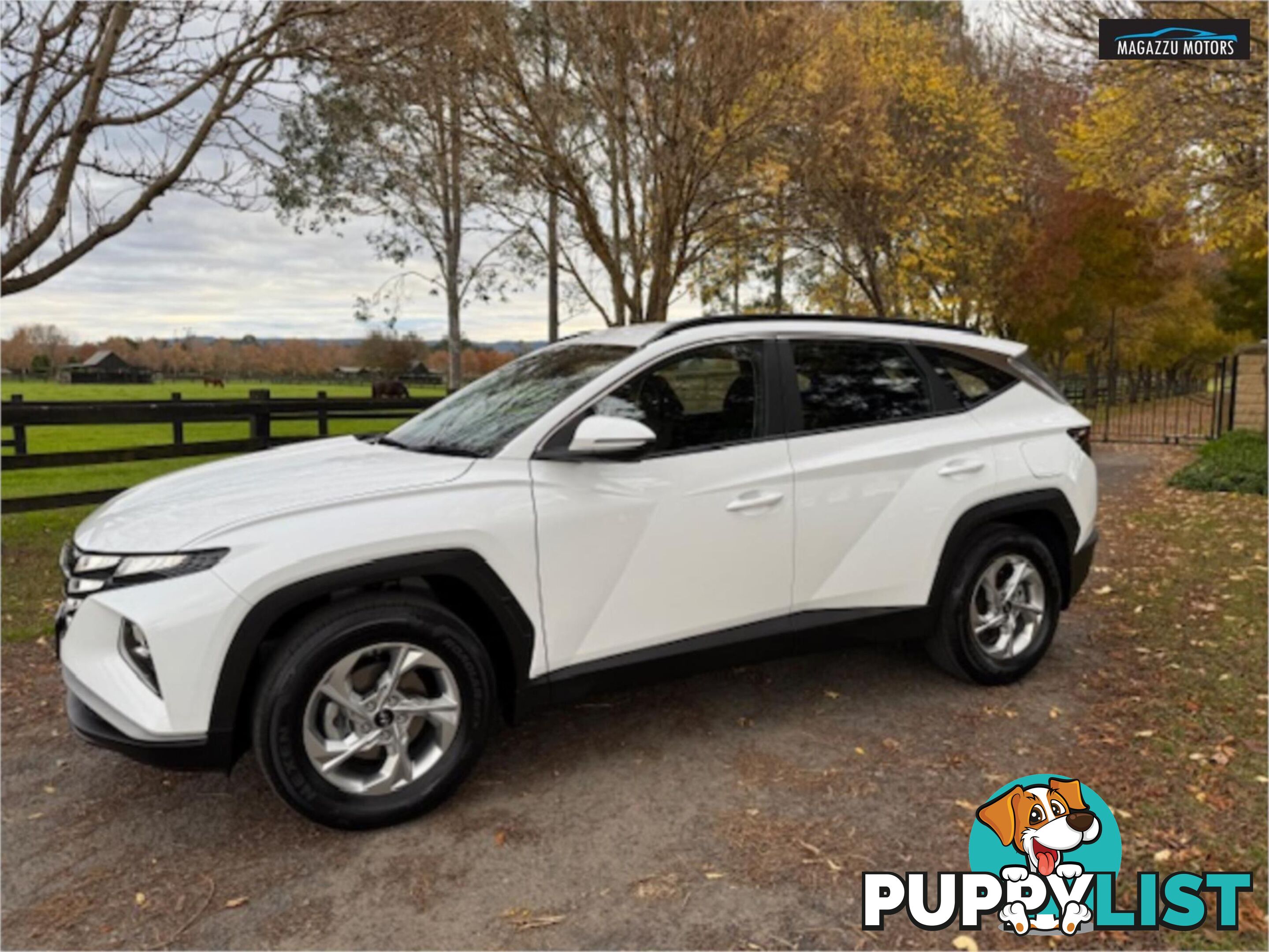 2023 HYUNDAI TUCSON  NX4 V2MY23 4D WAGON