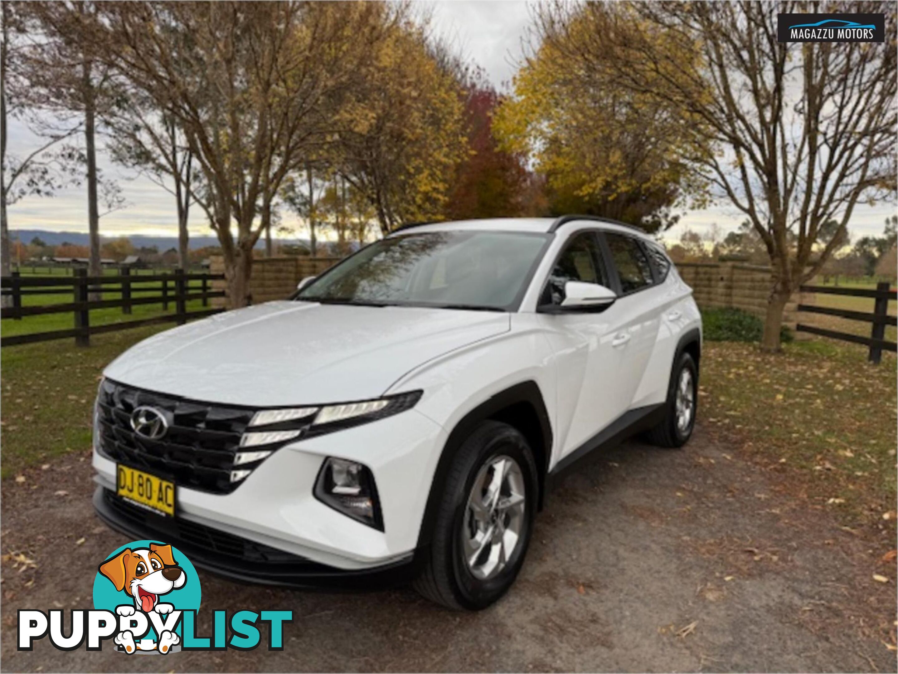 2023 HYUNDAI TUCSON  NX4 V2MY23 4D WAGON