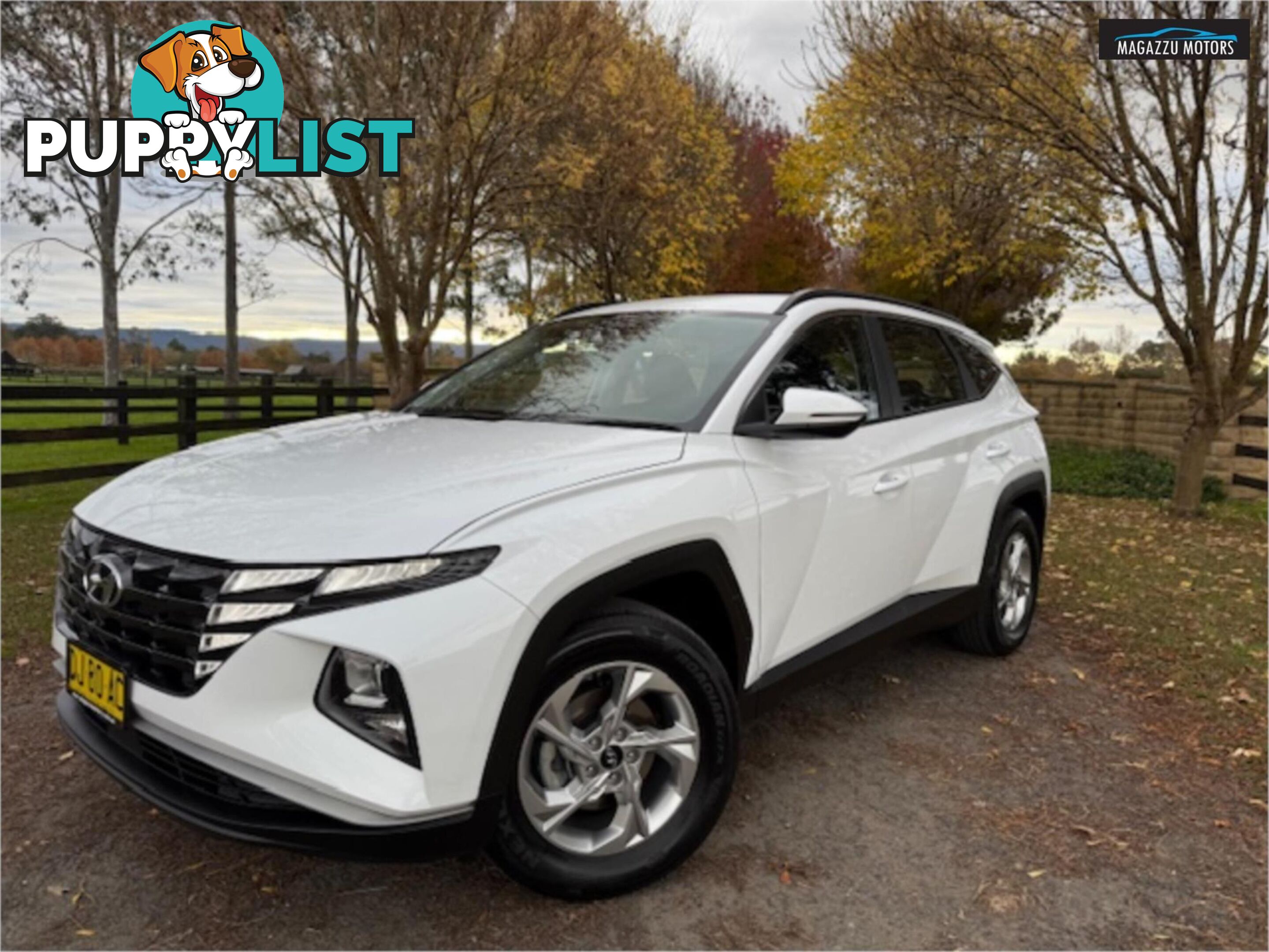 2023 HYUNDAI TUCSON  NX4 V2MY23 4D WAGON