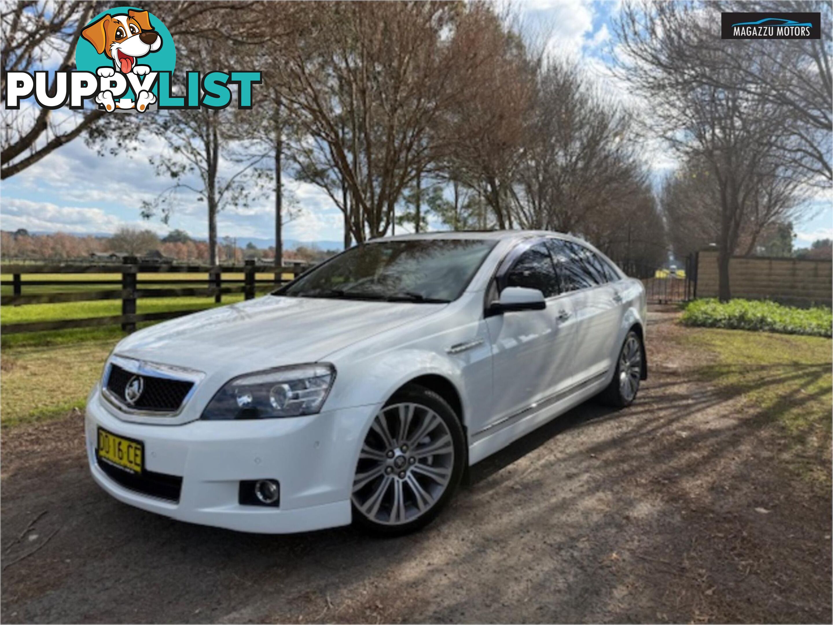 2015 HOLDEN CAPRICE V WNMY15 4D SEDAN