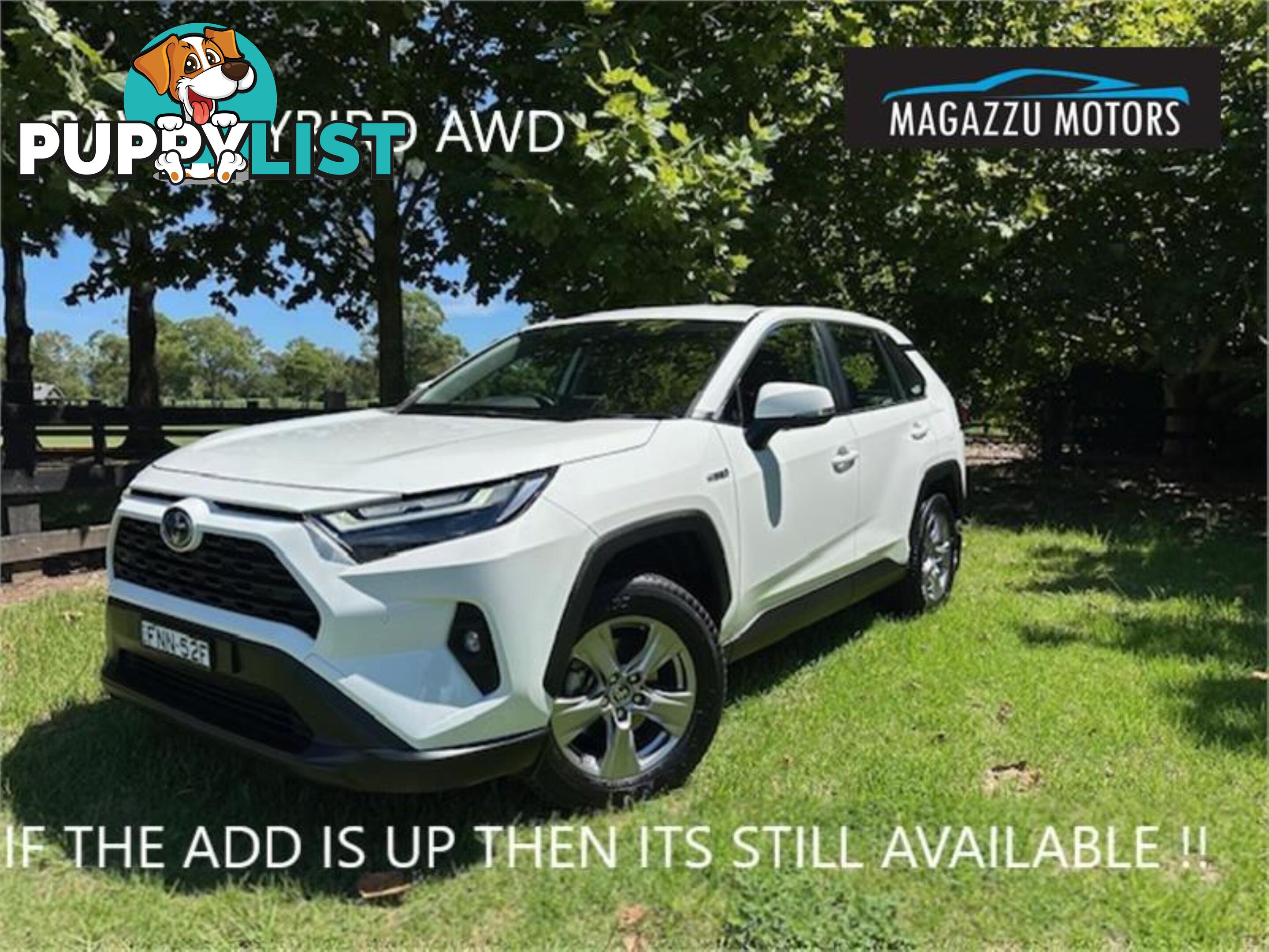 2022 TOYOTA RAV4 GX AXAH54R 5D WAGON