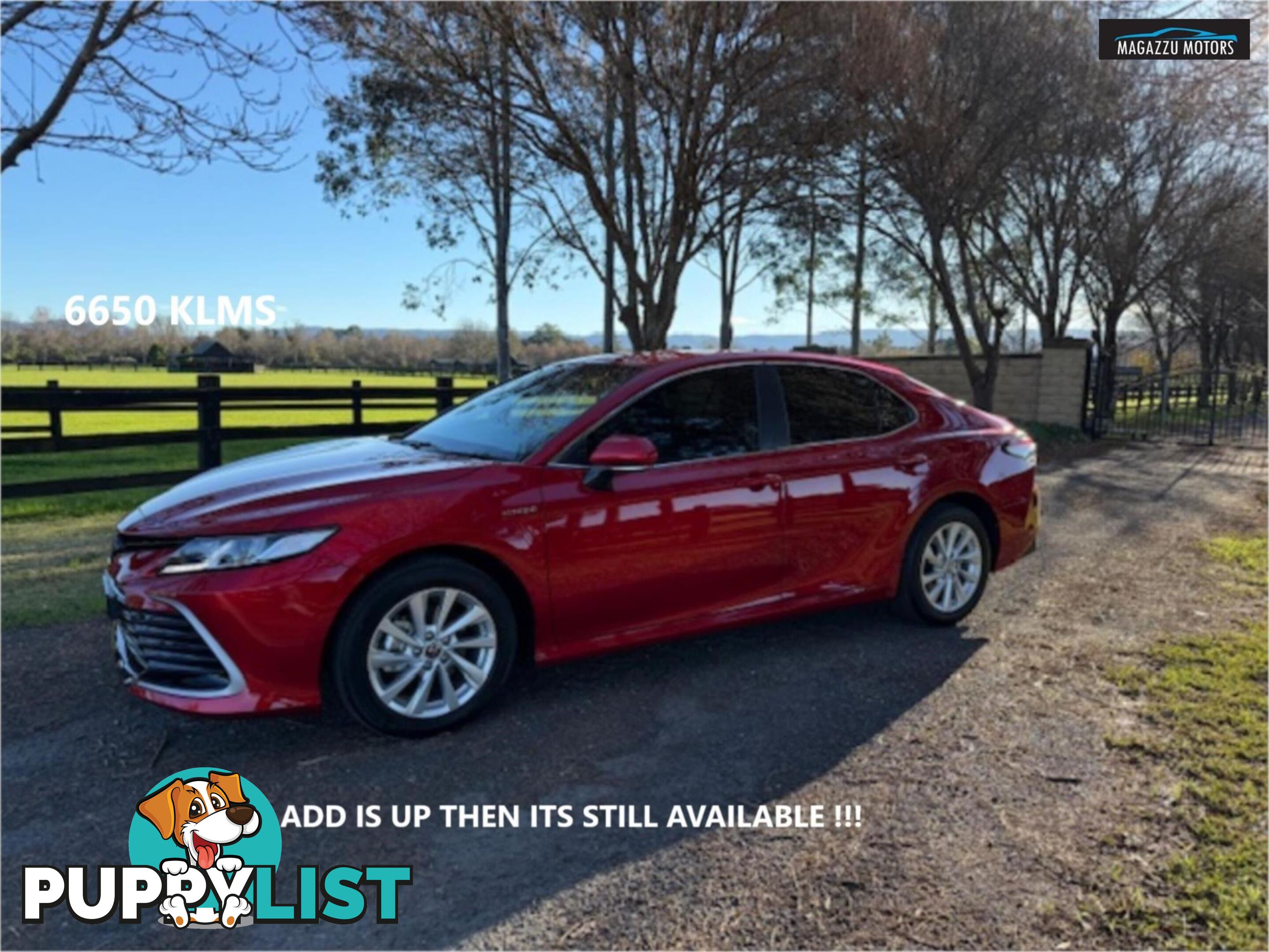 2023 TOYOTA CAMRY ASCENTHYBRID AXHV70R 4D SEDAN