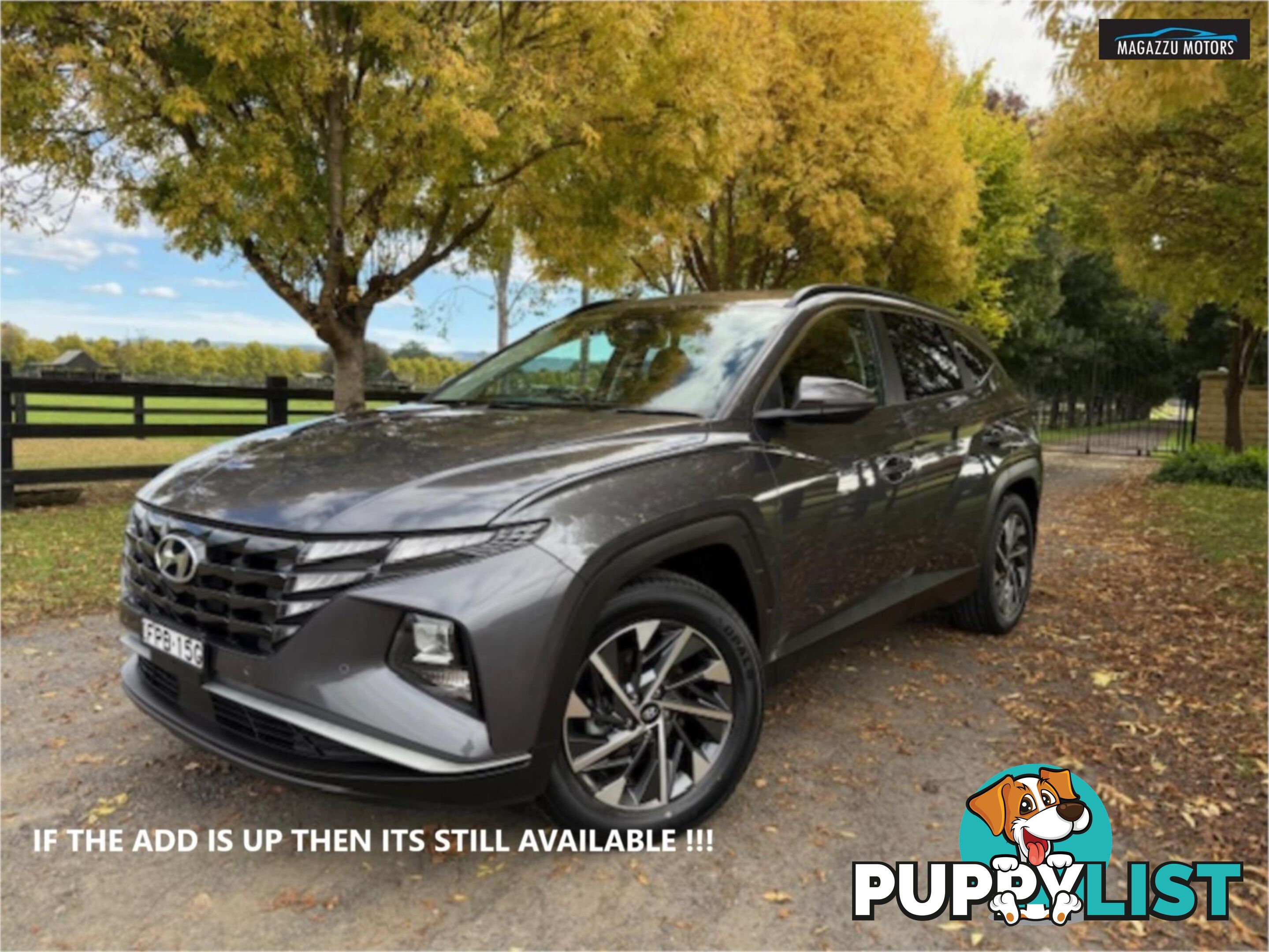 2022 HYUNDAI TUCSON ELITE NX4 V1MY22 4D WAGON