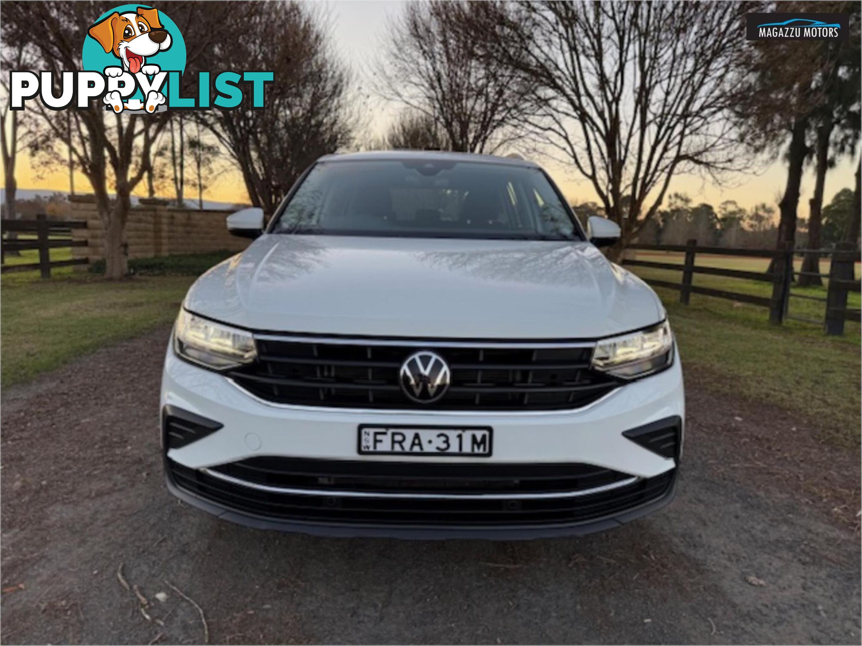 2023 VOLKSWAGEN TIGUAN 110TSILIFE AXMY23UPDATE 4D WAGON