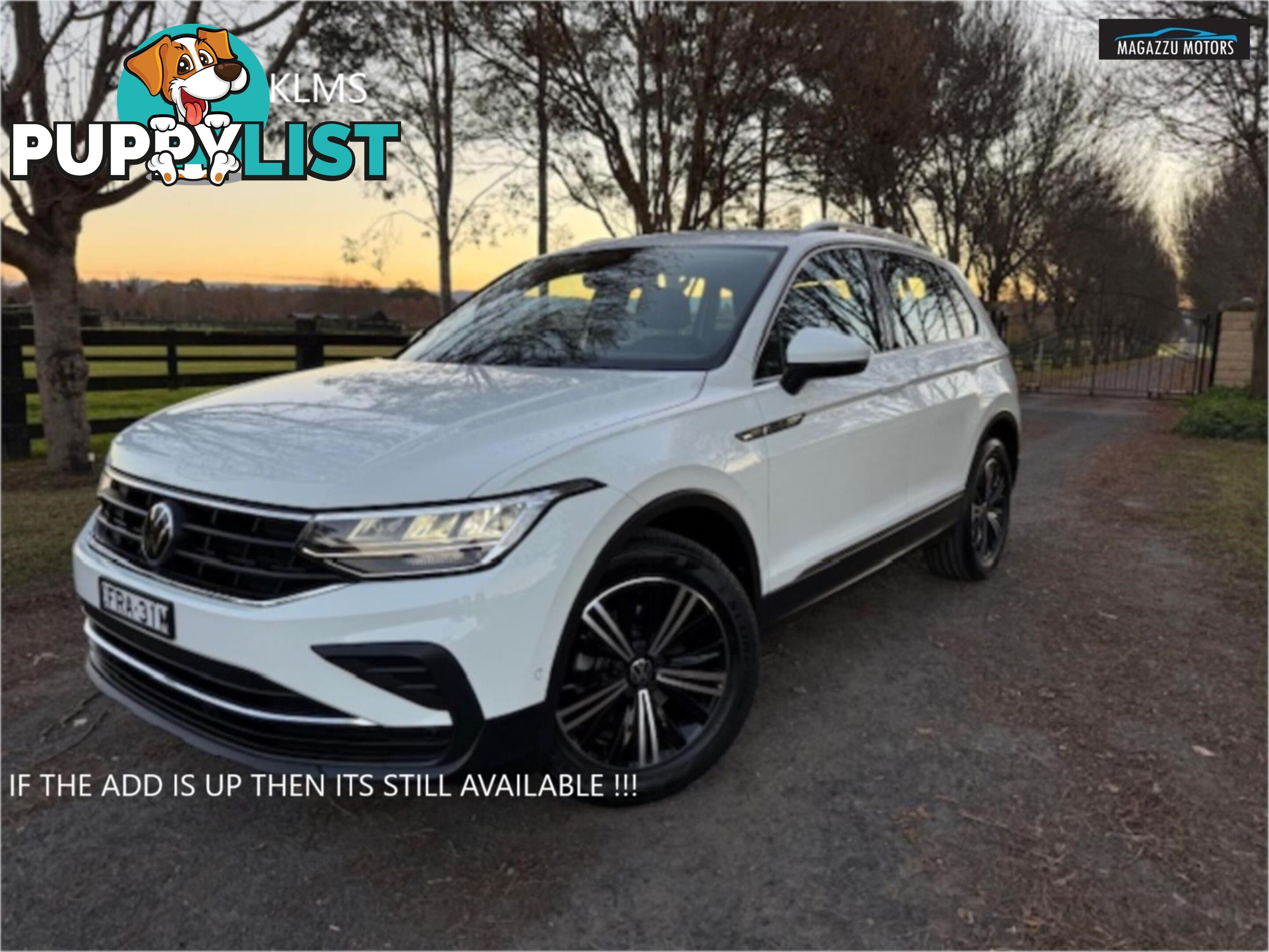 2023 VOLKSWAGEN TIGUAN 110TSILIFE AXMY23UPDATE 4D WAGON