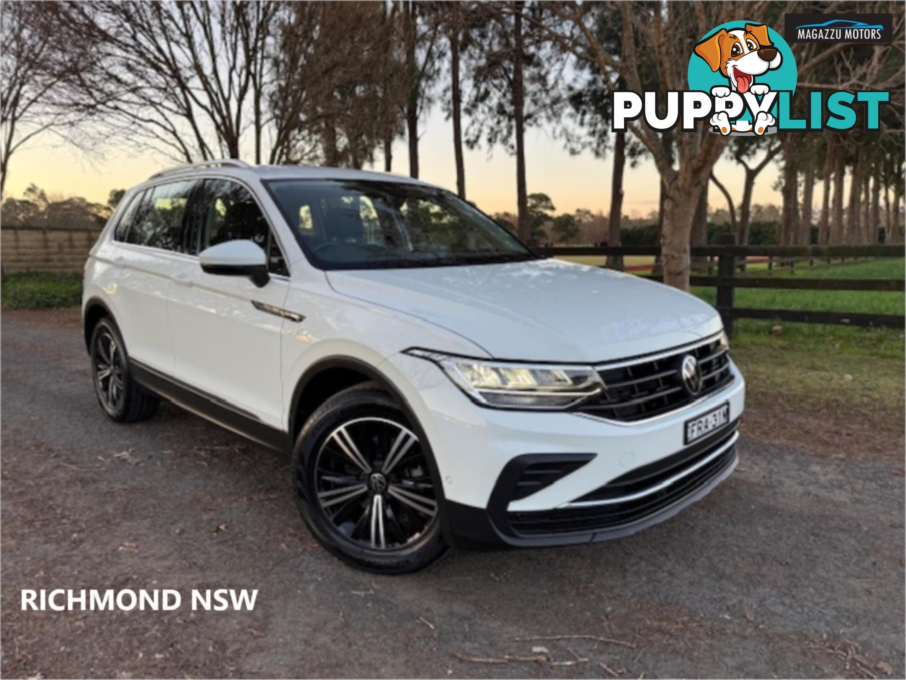 2023 VOLKSWAGEN TIGUAN 110TSILIFE AXMY23UPDATE 4D WAGON