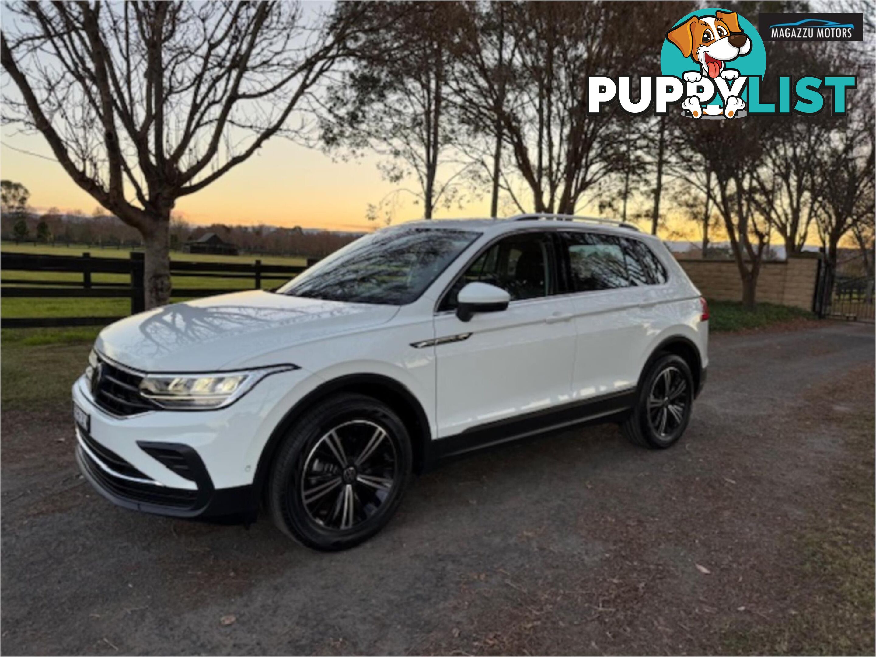 2023 VOLKSWAGEN TIGUAN 110TSILIFE AXMY23UPDATE 4D WAGON