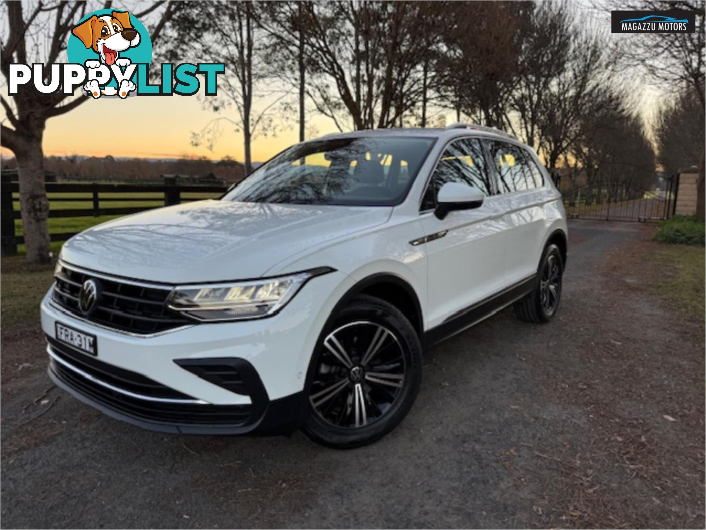 2023 VOLKSWAGEN TIGUAN 110TSILIFE AXMY23UPDATE 4D WAGON