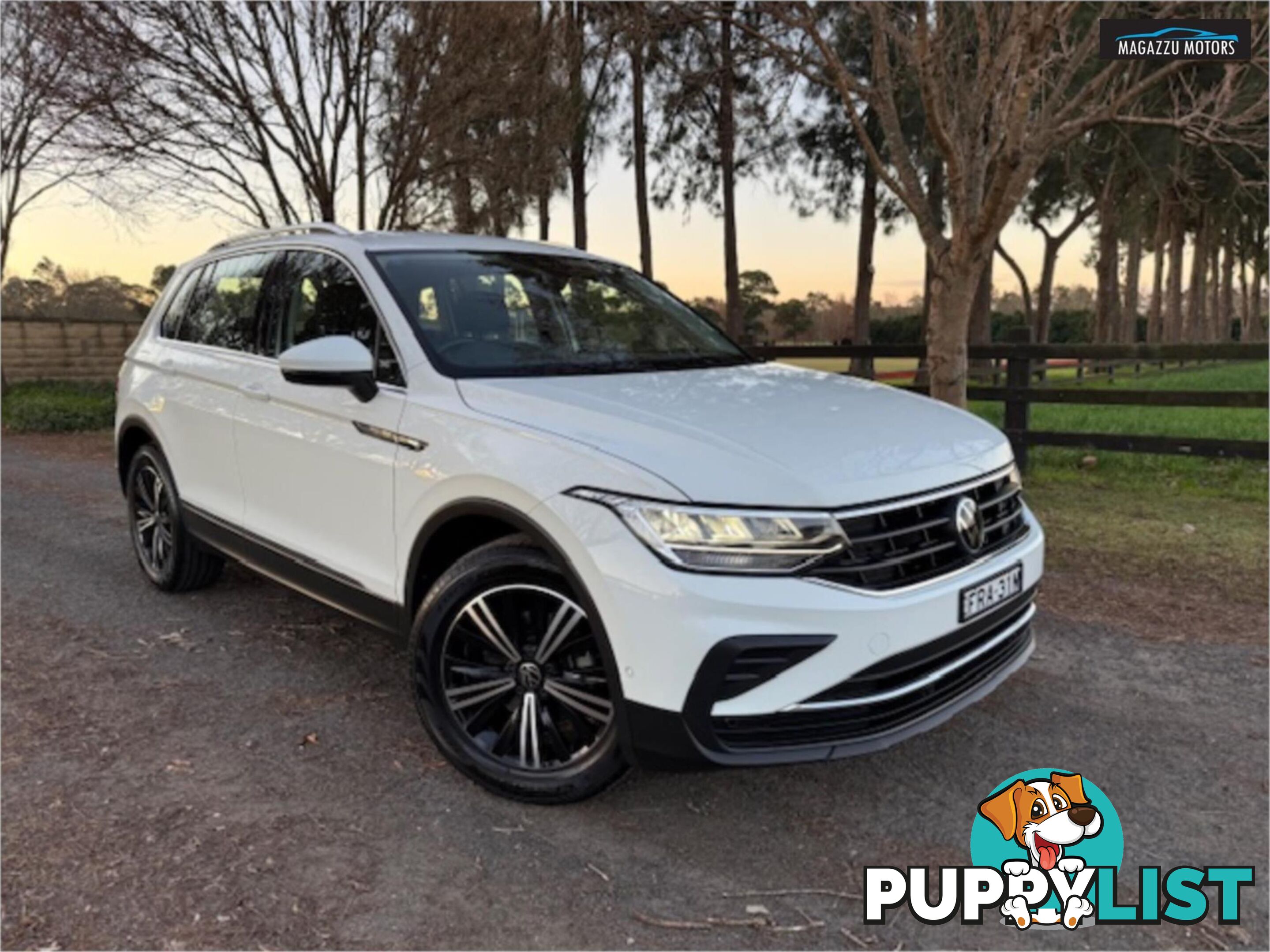 2023 VOLKSWAGEN TIGUAN 110TSILIFE AXMY23UPDATE 4D WAGON