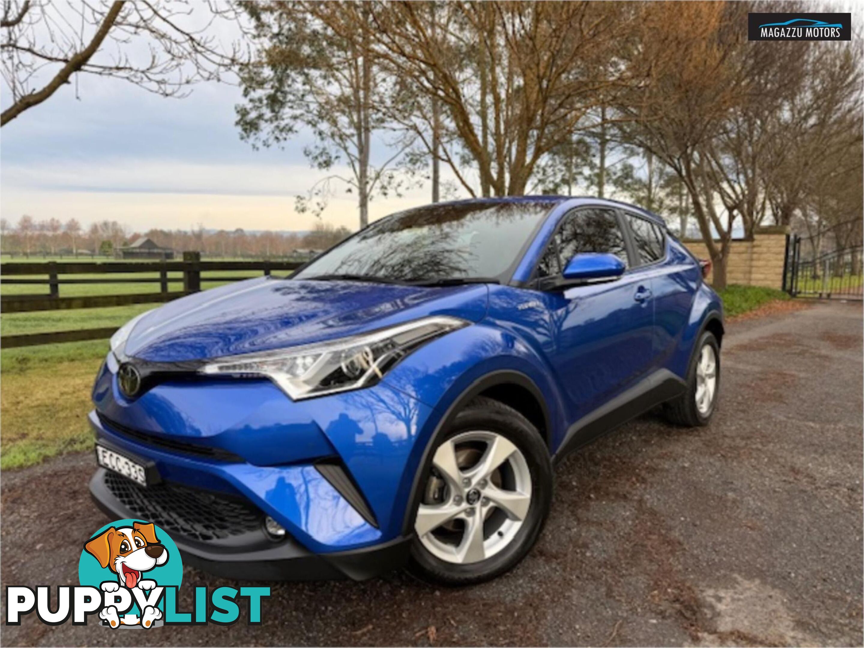 2019 TOYOTA C-HR  NGX10RUPDATE 4D WAGON