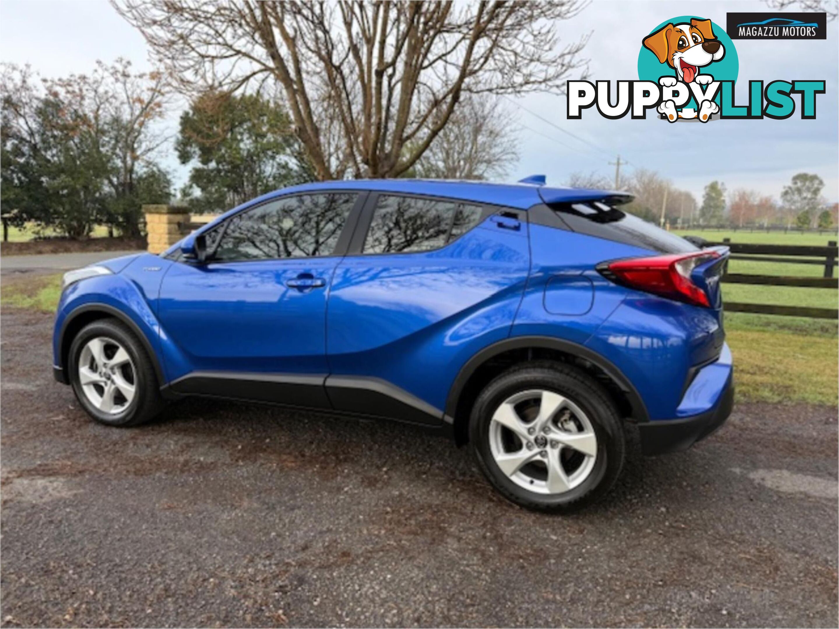 2019 TOYOTA C-HR  NGX10RUPDATE 4D WAGON